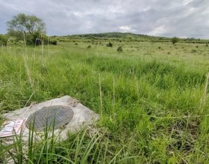 8.700 mp pentru dezvoltare rezidentiala la 3 km de CREIC - Chinteni