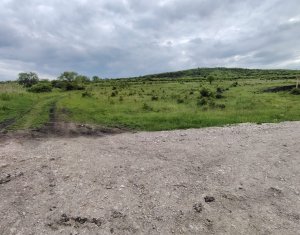 8.700 mp pentru dezvoltare rezidentiala la 3 km de CREIC - Chinteni