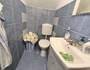 Maison 4 chambres à vendre dans Cluj-napoca, zone Borhanci