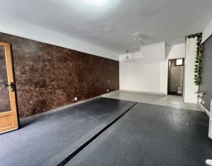 Spațiu comercial cu intrare din strada, zona Panemar Platinia
