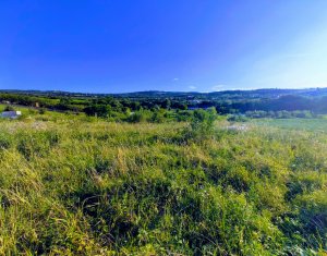 , 1450m2 dans Cluj-napoca, zone Borhanci