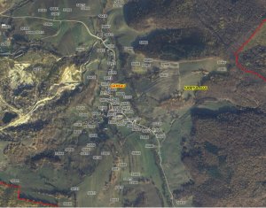 Padure molid 14 Hectare, 30km de Cluj Napoca, sat Sardu, com. Sanpaul CJ