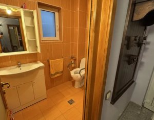 Maison 4 chambres à louer dans Cluj-napoca, zone Manastur