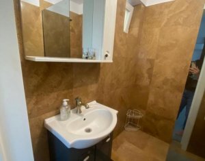 Appartement 4 chambres à louer dans Cluj-napoca, zone Borhanci