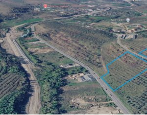 , 11600m2 dans Baciu