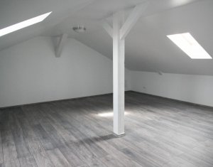 Maison 4 chambres à louer dans Cluj-napoca, zone Gruia