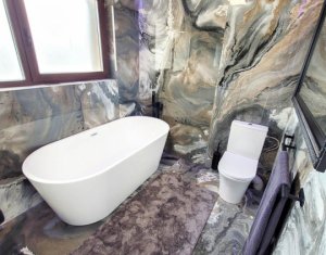 Maison 4 chambres à louer dans Cluj-napoca, zone Gruia