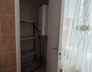 Appartement 1 chambres à louer dans Cluj-napoca, zone Manastur