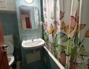 Appartement 1 chambres à louer dans Cluj-napoca, zone Manastur