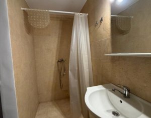 Appartement 1 chambres à louer dans Cluj-napoca, zone Zorilor