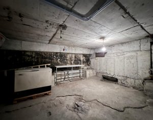 Spatiu comercial 160mp, 2 intrari, H=4m, trifazic, pod Calvaria Manastur 