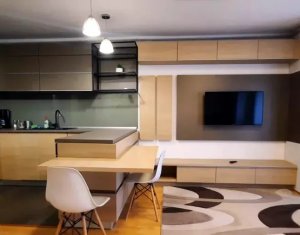 Appartement 1 chambres à louer dans Cluj-napoca, zone Andrei Muresanu
