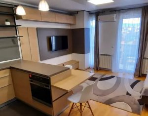Appartement 1 chambres à louer dans Cluj-napoca, zone Andrei Muresanu