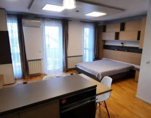 Appartement 1 chambres à louer dans Cluj-napoca, zone Andrei Muresanu