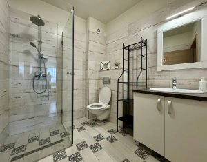 Appartement 2 chambres à louer dans Cluj-napoca