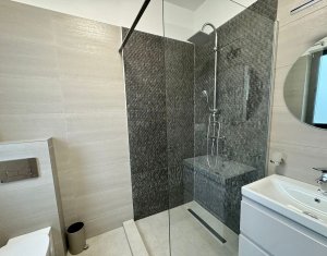 Ház 4 szobák eladó on Cluj-napoca, Zóna Borhanci