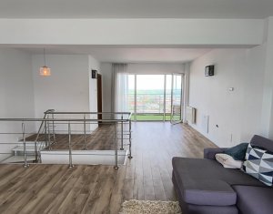 Appartement 5 chambres à louer dans Cluj-napoca, zone Buna Ziua