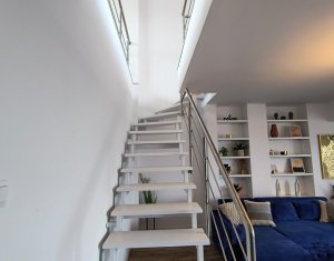 Appartement 5 chambres à louer dans Cluj-napoca, zone Buna Ziua