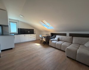 Appartement 2 chambres à louer dans Cluj-napoca, zone Europa