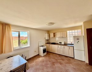 Appartement 1 chambres à louer dans Cluj-napoca, zone Someseni