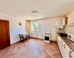 Appartement 1 chambres à louer dans Cluj-napoca, zone Someseni