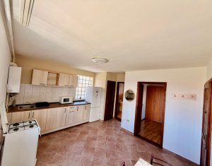 Appartement 1 chambres à louer dans Cluj-napoca, zone Someseni