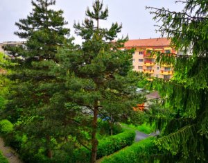 Apartment 3 rooms for rent in Cluj-napoca, zone Zorilor