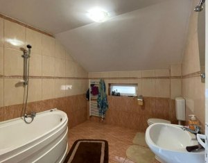Maison 4 chambres à louer dans Cluj-napoca, zone Someseni