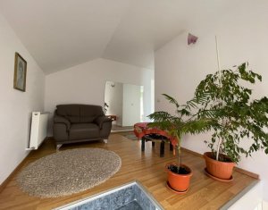 Maison 4 chambres à louer dans Cluj-napoca, zone Someseni