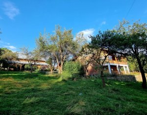 Maison 10 chambres à vendre dans Rasca
