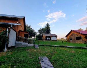 Maison 10 chambres à vendre dans Rasca