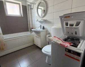 Appartement 2 chambres à louer dans Cluj-napoca, zone Buna Ziua