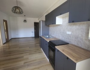 Appartement 1 chambres à louer dans Floresti