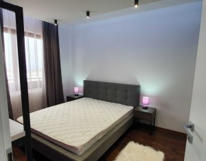 Appartement 2 chambres à louer dans Cluj-napoca, zone Europa