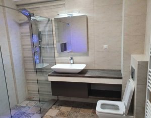 Appartement 2 chambres à louer dans Cluj-napoca, zone Europa
