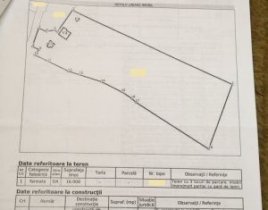1.6 ha de padure cu poienita, parau la limita curtii, cabana pentru trei familii