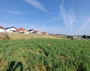 , 7092m2 in Corusu