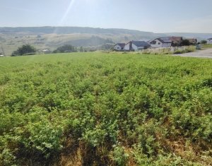 TEREN PENTRU DEZVOLTARE IMOBILIARA - 7.092 MP - CORUSU, BACIU