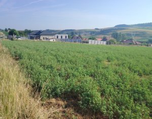 TEREN PENTRU DEZVOLTARE IMOBILIARA - 7.092 MP - CORUSU, BACIU