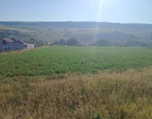 TEREN PENTRU DEZVOLTARE IMOBILIARA - 7.092 MP - CORUSU, BACIU