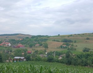 Casa in Camarasu-Cluj, utilitati, asfalt,  teren mare intravilan