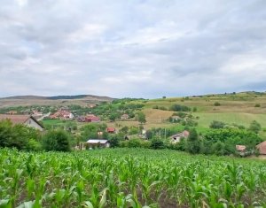 Vanzare teren intravilan cu casa veche in Camarasu, Cluj