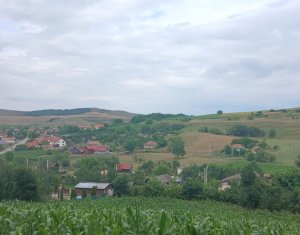 Vanzare teren intravilan cu casa veche in Camarasu, Cluj