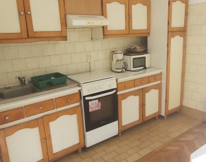 Spatiu birou, 4 camere la casa, zona Gradina Botanica, Zorilor