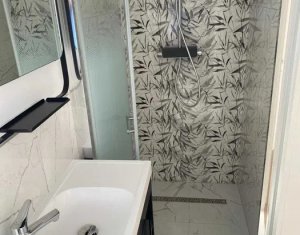 House 5 rooms for rent in Cluj-napoca, zone Iris