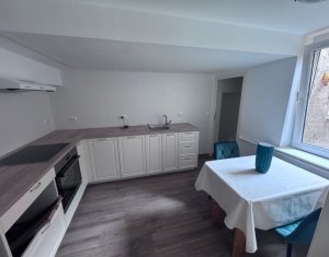 Apartment 3 rooms for rent in Cluj-napoca, zone Centru