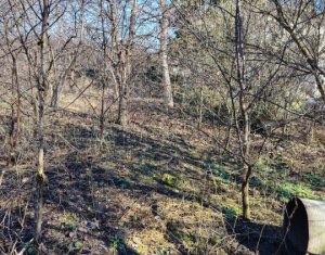 , 740m2 dans Cluj-napoca, zone Dambul Rotund