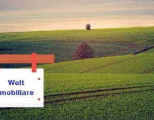 , 5800m2 dans Jucu De Sus