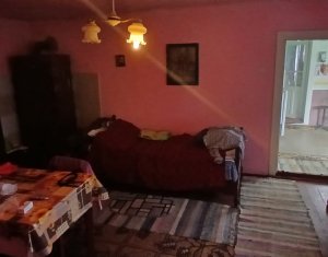 Casa cu teren mare in Salicea
