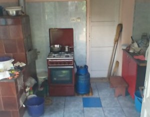 Casa cu teren mare in Salicea